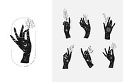 Celestial collection, a Decorative Illustration by Merfin (Thumbnail 7 of 14)
