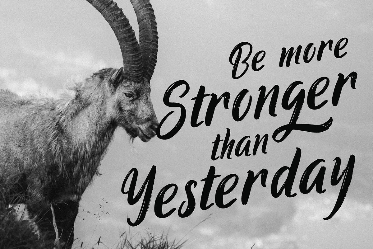 Ringtrack - Rough Brush Fonts, a Script Font by Patria Ari (P4tcreativa) (Photo 7 of 10)