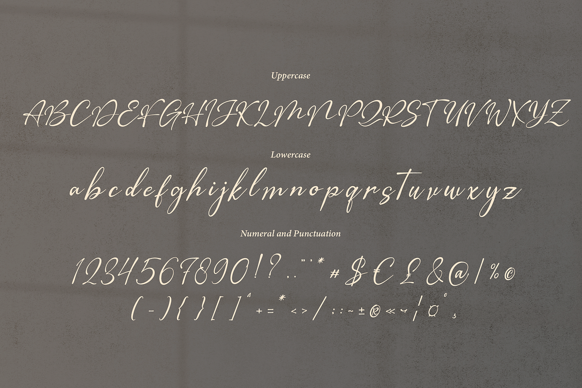 The Morteffis | Modern Calligraphphy, a Script Font by Denustudios (Photo 13 of 15)