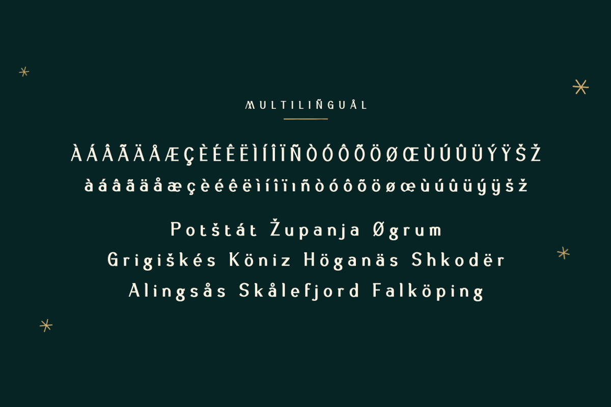 Asetin, a Sans Serif Font by twinstd (Photo 11 of 12)