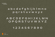 Plateau Font, a Font by Sparrow & Snow (Thumbnail 5 of 15)