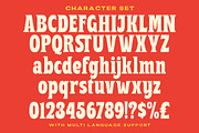 Nebulon - Bold Display Font, a Serif Font by Letterhend Studio (Thumbnail 8 of 9)