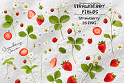Strawberry Fields Collage Kit, an Object Graphic by DreamoraArt (Thumbnail 4 of 9)