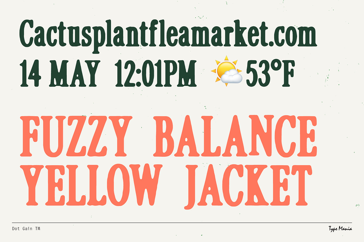 Dot Gain TM – Cozy Serif, a Serif Font by Type Mania (Photo 7 of 10)