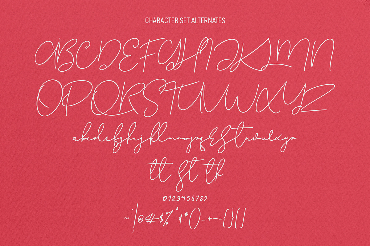 Christie Dianna Valentine Font, a Script Font by Maulana Creative (Photo 8 of 10)