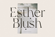 Bulgari - Modern Font, a Serif Font by Sans & Sons (Thumbnail 4 of 10)