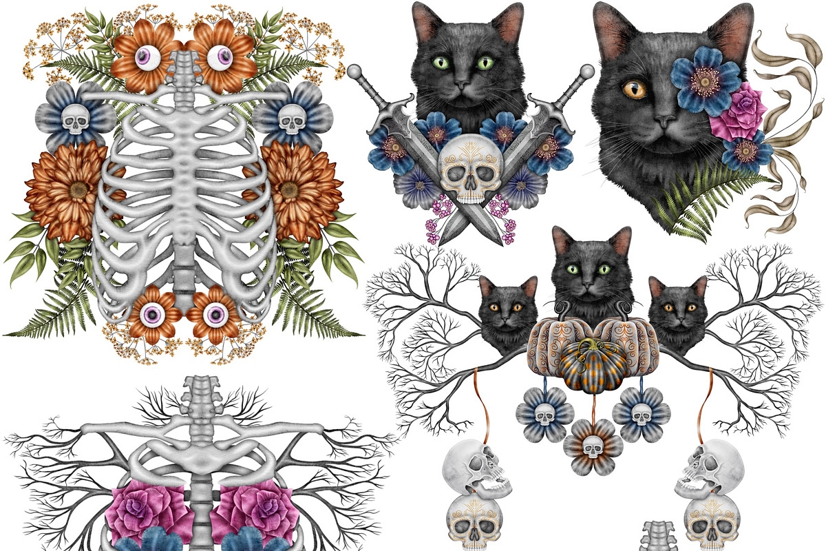 Halloween Botanicals Clipart set., a Seasonal Illustration by Happy Sloth Graphics (Photo 11 of 16)