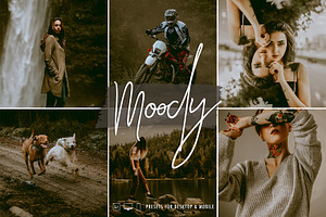 Dark & Moody Lightroom Presets, an Action Add-On by Signature Edits