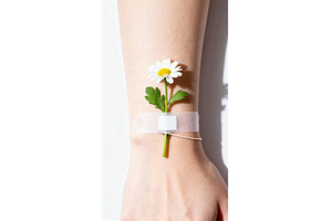 Daisy taped to wrist with soft, a Nature Photo by tilialucida