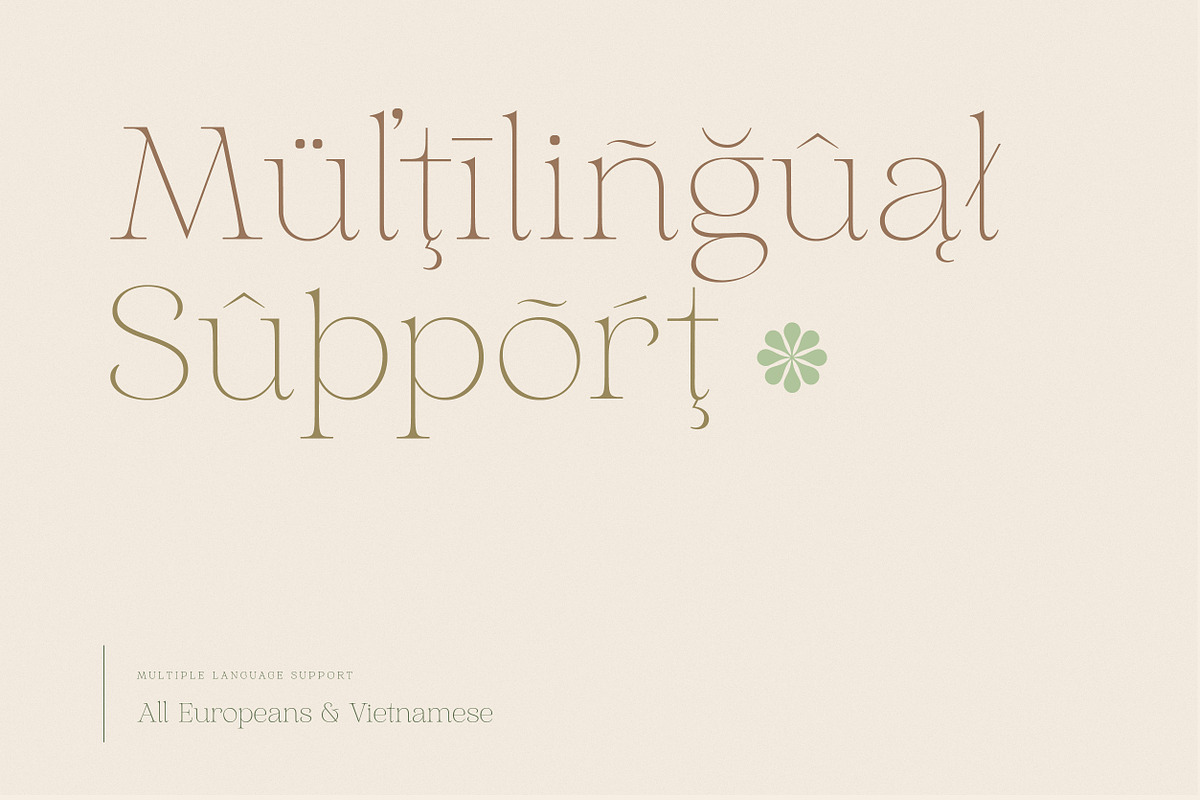 Aurelius - Feminine Chic Serif, a Serif Font by Harmonais Visual (Photo 29 of 35)