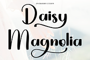 Daisy Magnolia, a Handwritten Font by FreshTypeINK (Thumbnail 1 of 8)