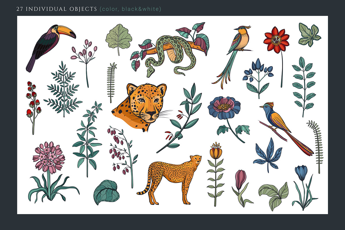 Wild Nature Vector Set, a Pattern Graphic by Molly art (Photo 4 of 9)