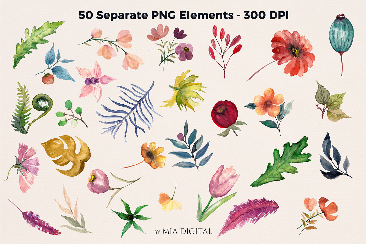 51 Blooming Floral Elements, an Illustration by Mia Digital (Photo 3 of 5)