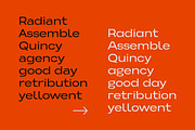 Somerun Extended Sans Family, a Sans Serif Font by Lettertype Studio (Thumbnail 8 of 15)