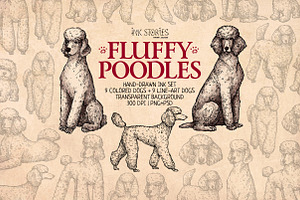 Fluffy Poodles