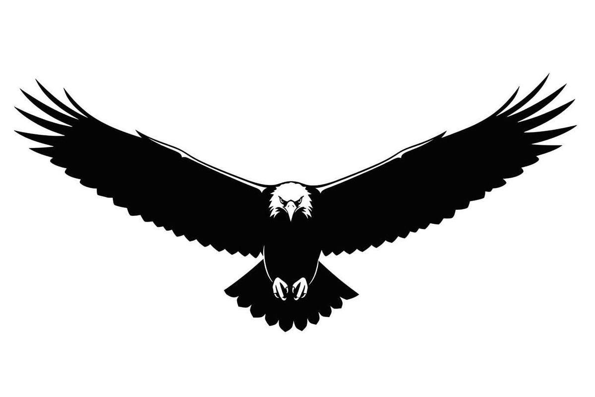 50 Flying Eagle Silhouette Vector Bu, an Illustration by Designs_River (Photo 10 of 51)