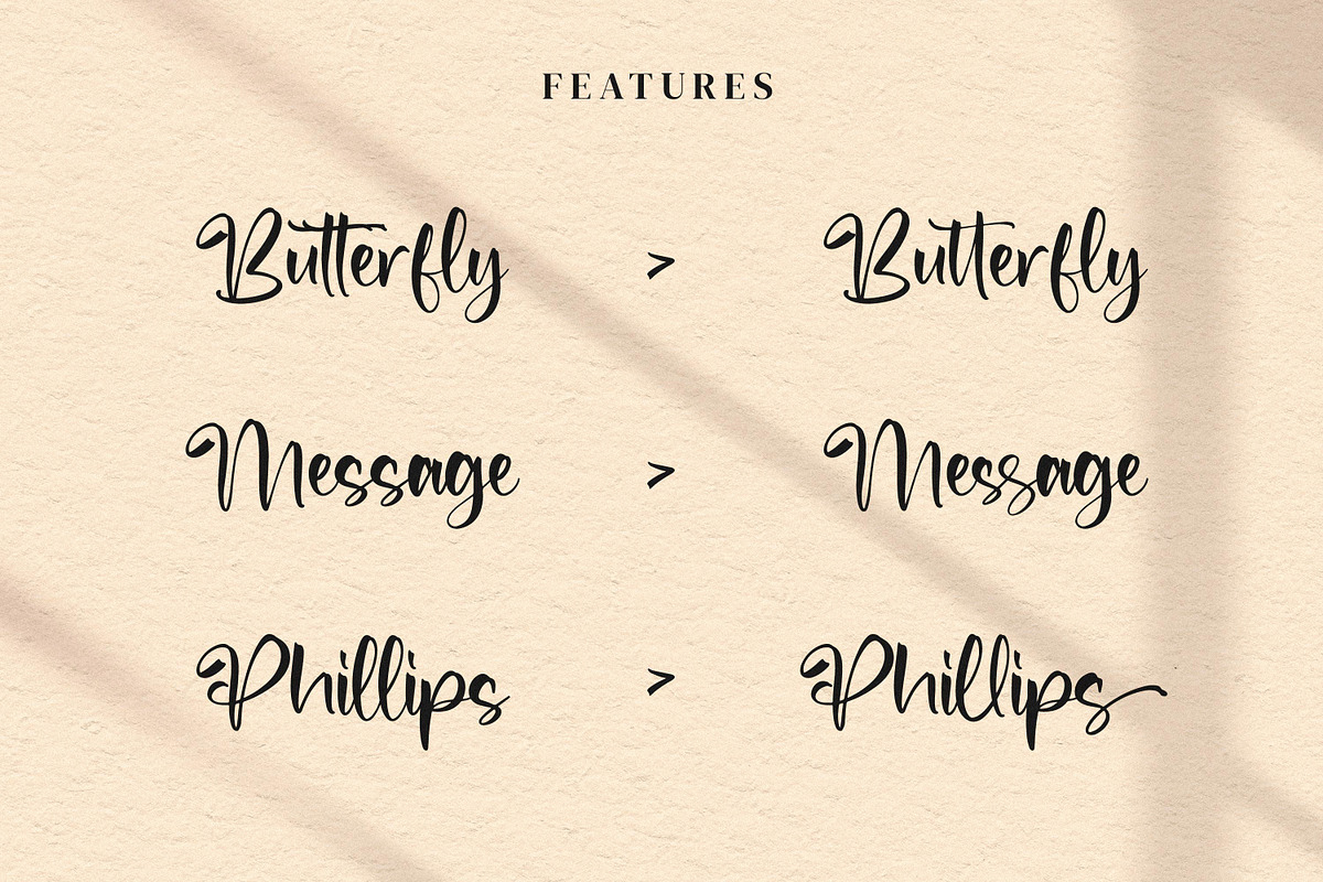 The Spirit, a Script Font by Integritype Studio (Photo 13 of 14)