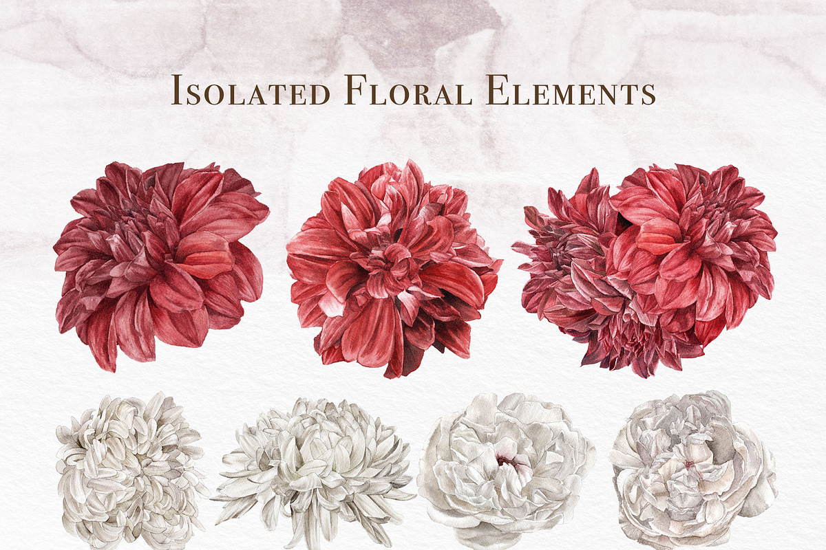 Red Burgundy & White Floral Clipart, an Illustration by May • SHO (Photo 4 of 13)