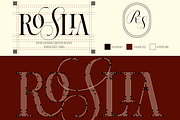 Dh Alista Aghni - 7 Serif Family, a Serif Font by Dharmas Foundry (Thumbnail 9 of 16)