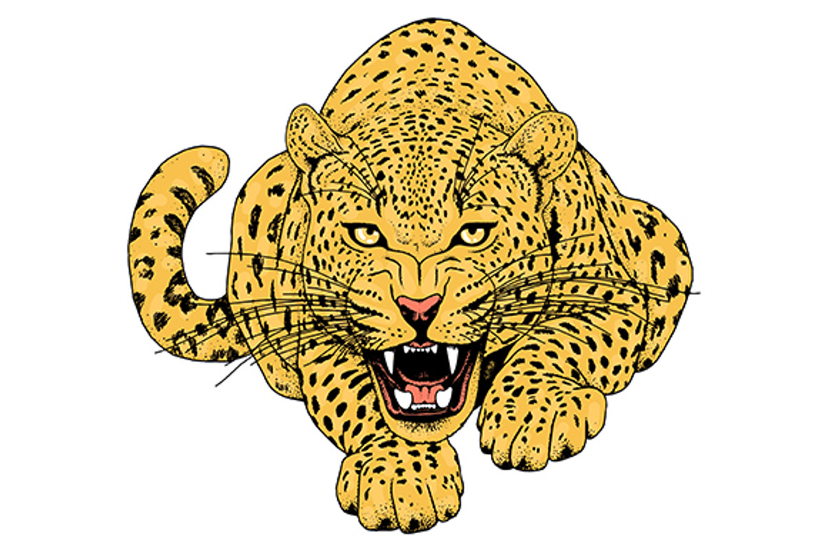 LEOPARD, an Animal Illustration by Tanya Akhmett (Photo 6 of 9)