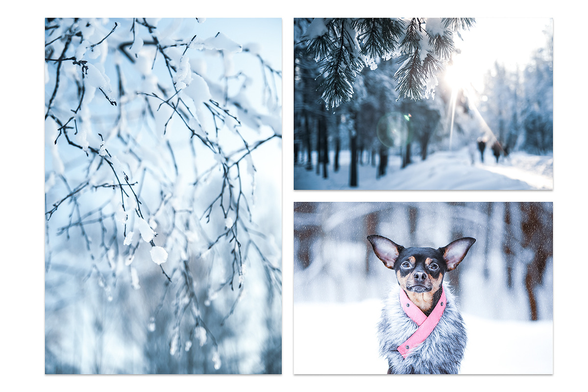 Winter Bundle - 24 jpg, a Background Photo by WildStrawberry Magic (Photo 7 of 8)