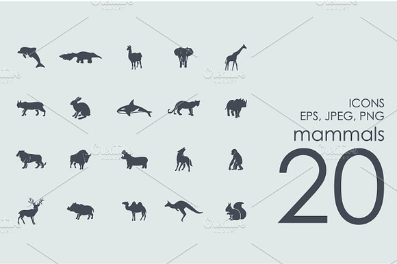 20 Mammals Icons