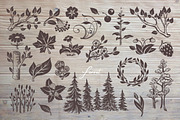Forest Floral Freehand Drawings, an Illustration by Adiemus (Thumbnail 2 of 5)