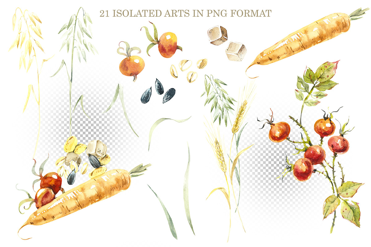 Watercolor Guinea Pigs, an Animal Illustration by Budogoshch (Photo 3 of 4)