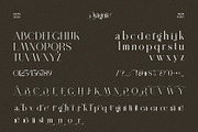 Dragnie Elegant Ligature Serif Font, a Serif Font by Perfectype (Thumbnail 6 of 6)