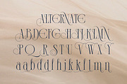 Demeris - Modern Refined Serif, a Serif Font by Qweera Studio (Thumbnail 10 of 12)