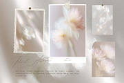 Ethereal Floral Backgrounds Bundle, an Abstract Photo by Allure Art (Thumbnail 22 of 26)