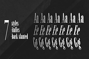 Fiona Pro Font Family (21 Styles), a Serif Font by Monday Type – Typefaces (Thumbnail 3 of 7)