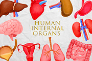 Human Internal Organs Clipart, a Healthcare Illustration by the_myro (Thumbnail 1 of 11)