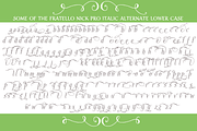 Sale-Fratello Nick Pro Italic, a Font by Debi Sementelli (Thumbnail 4 of 4)