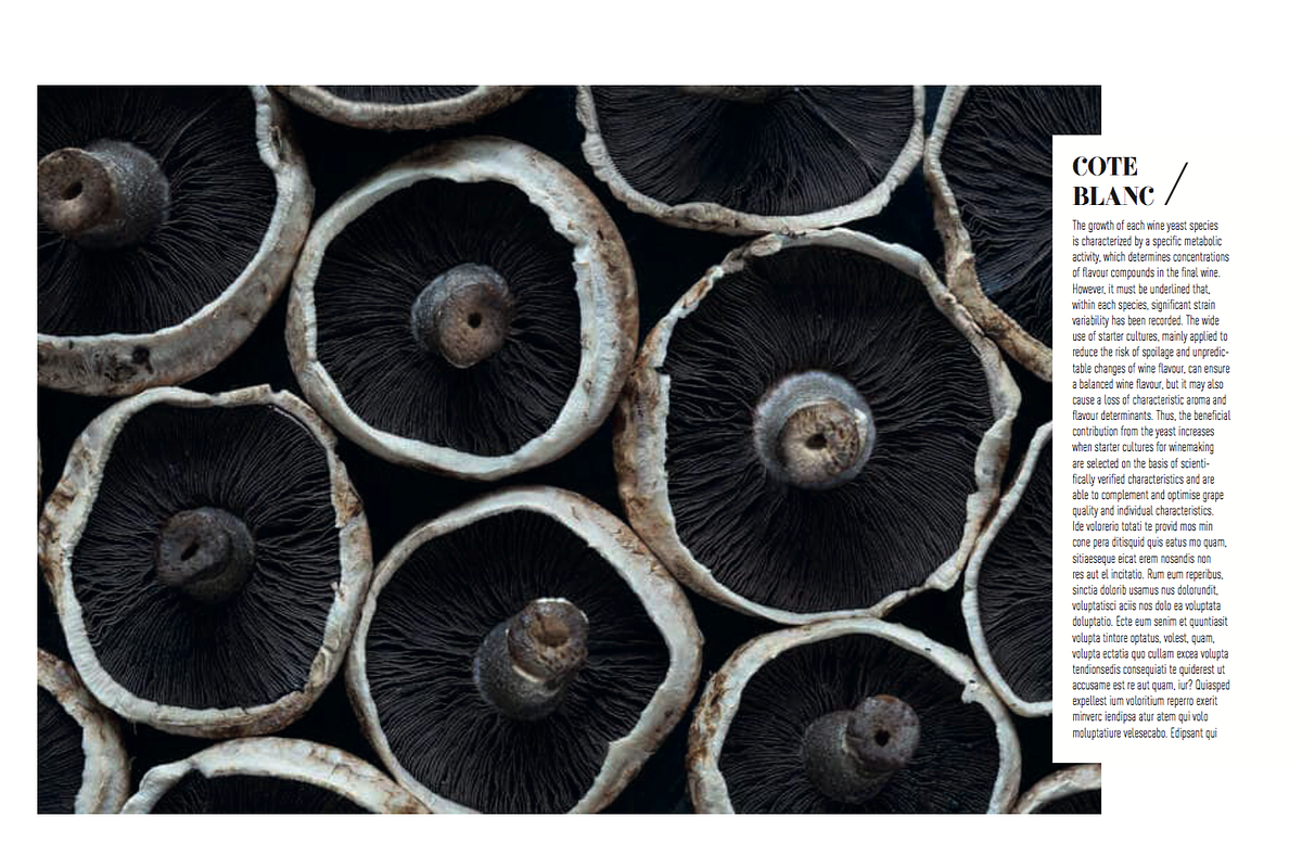 Magazine Template, a Magazine Template by Cristian Villegas Studio (Photo 11 of 14)