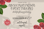 Raspberry Smash - Calligraphy Font, a Script Font by Letterative Studio (Thumbnail 6 of 6)