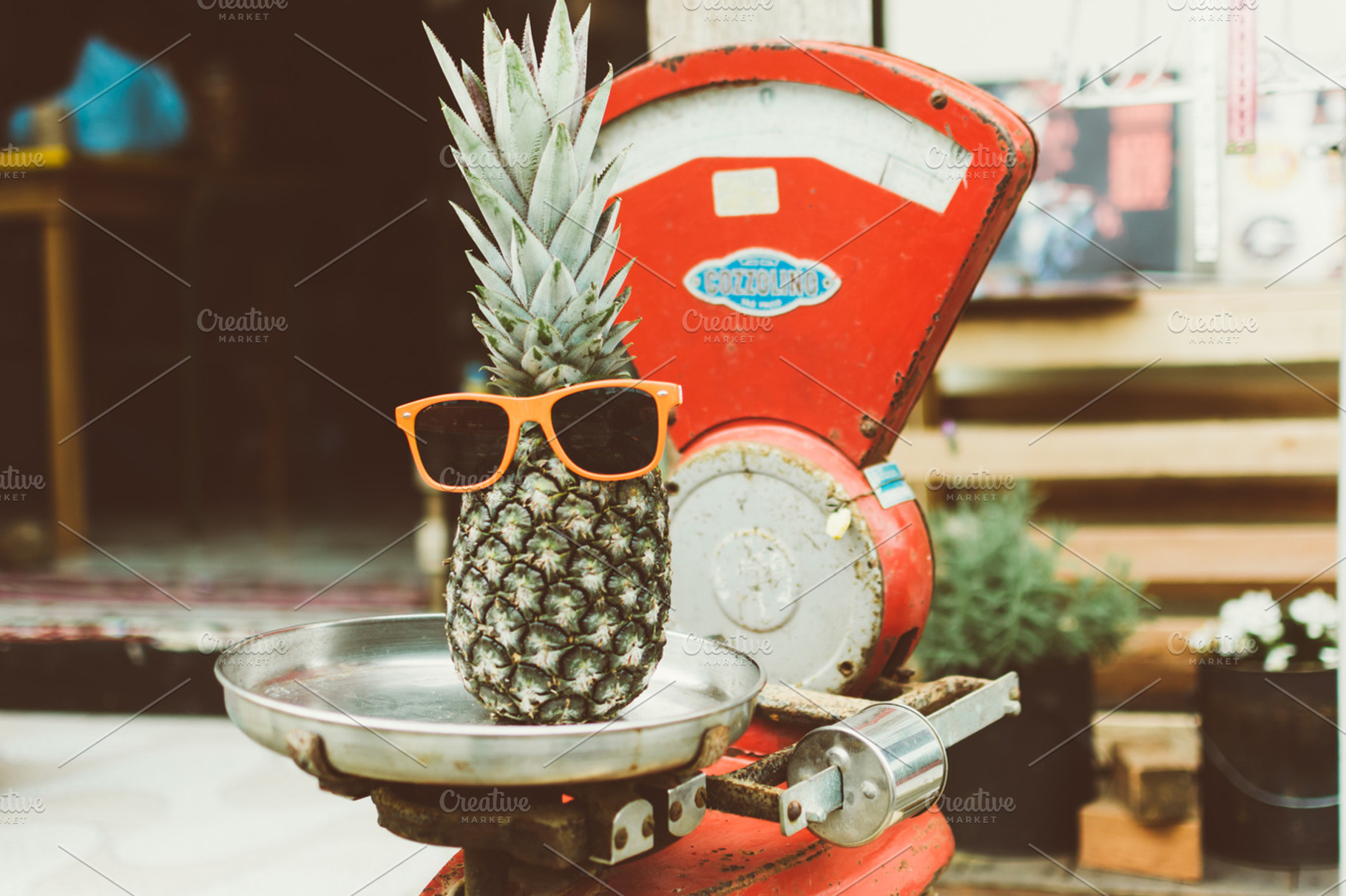 tropical fair, an Arts & Entertainment Photo by André Bernardo