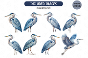 Blue Heron Collection Clipart Bundle, an Animal Illustration by TatiMockup (Thumbnail 3 of 5)