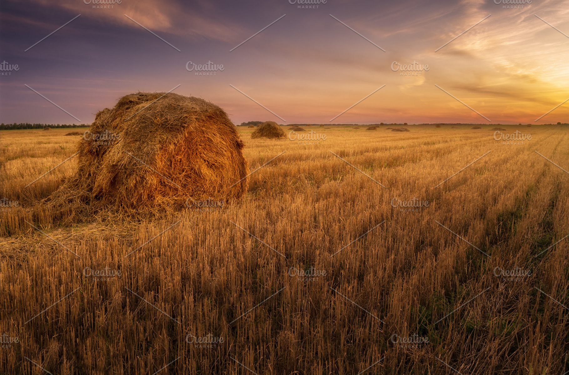 Sunset on the field featuring sunlight, meadow, and agriculture, a Nature Photo by VS