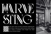 Thinkers Architect - Elegant Font, a Serif Font by 177Studio (Thumbnail 2 of 8)