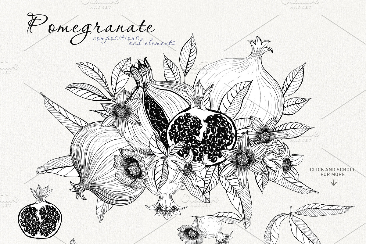 Graphic drawing pomegranate set, a Decorative Illustration by Art AleshkaK (Photo 2 of 3)