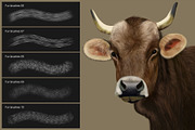 Fur Photoshop Brushes v2, a Brush Add-On by Mohamed Saber (Thumbnail 3 of 6)