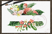 Tropical Big Pack Watercolor Clip, a Decorative Illustration by DioFlow (Thumbnail 2 of 26)