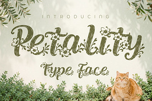 Petality - Whimsical Bloom, a Script Font by HypeWorksCo