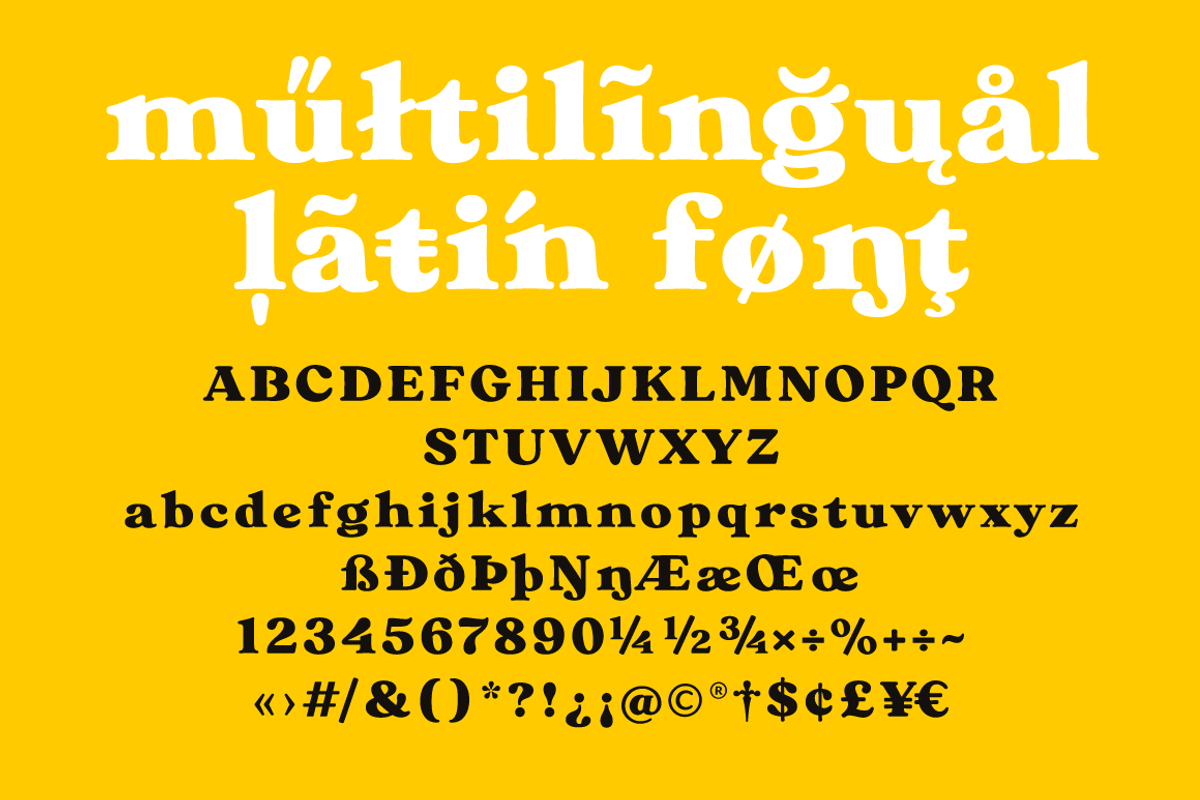 Bikker Black, Funky serifs, a Serif Font by TypeFaith Fonts (Photo 2 of 11)