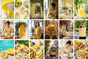 Yellow Aesthetic Stock Photos, a Beauty & Fashion Photo by Selenique Studio (Thumbnail 11 of 11)