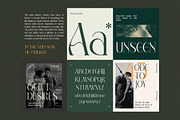 Elegant Condensed Volume 4, a Serif Font by Taboja Studio (Thumbnail 5 of 22)