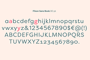 Filson Pro Font Family (16 fonts), a Sans Serif Font by Mostardesign Type Foundry (Thumbnail 5 of 5)