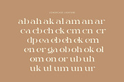 Gauker - Modern Ligatures Serif, a Serif Font by Nirmana Visual (Thumbnail 7 of 12)