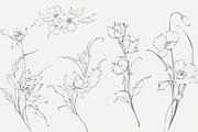 Procreate Phoenix stamps with flower, a Brush Add-On by AnnaPolitmerskaja (Thumbnail 4 of 5)